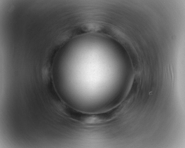 X0000089760460200707051836