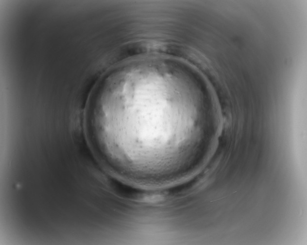 X0000089760462200707051836