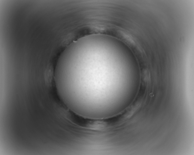 X0000089760463200707051836