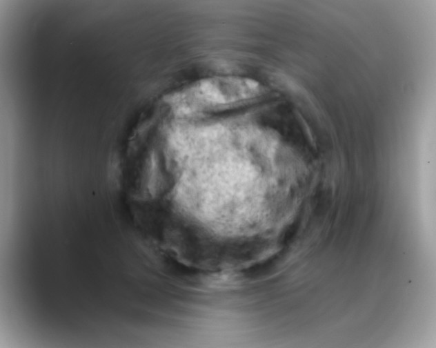 X0000089760465200707051836