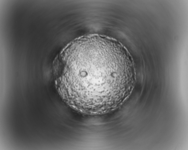 X0000089760468200707051836