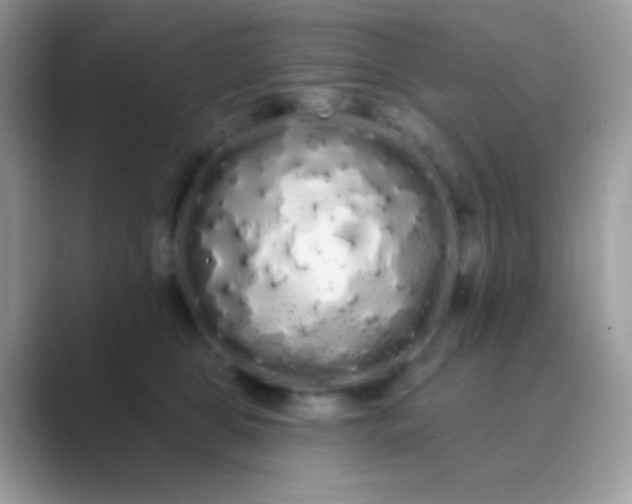 X0000089760469200707051836