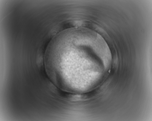 X0000089760473200707051836