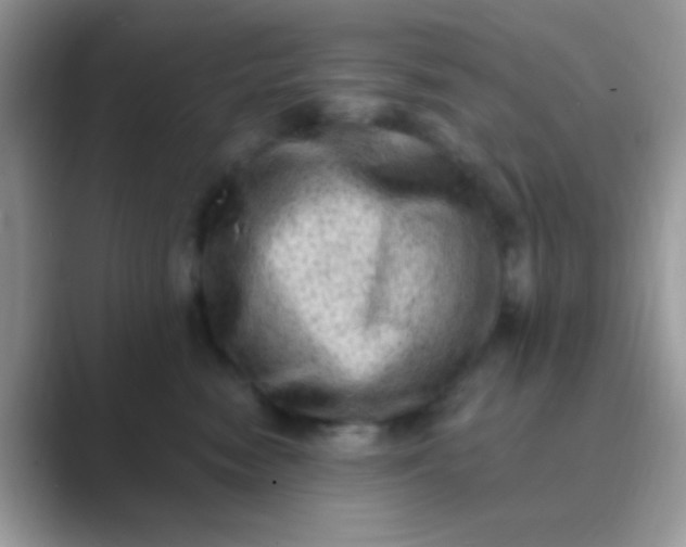 X0000089760474200707051836