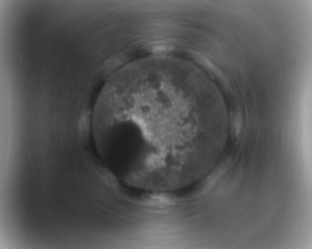 X0000089760475200707051836