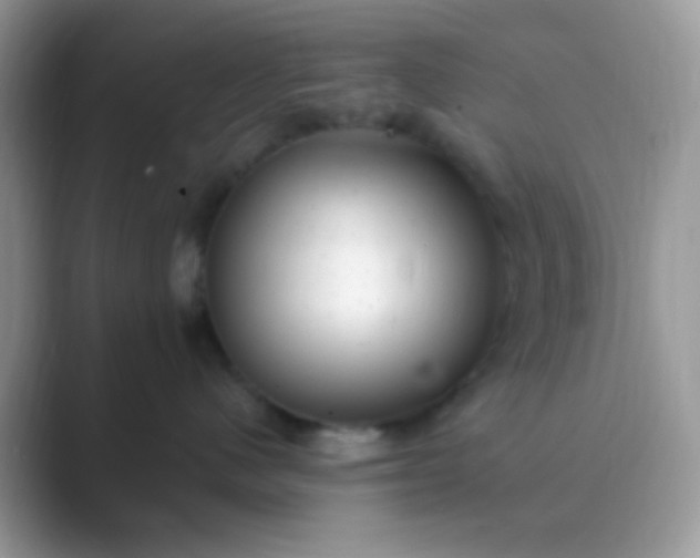 X0000089760480200707051836