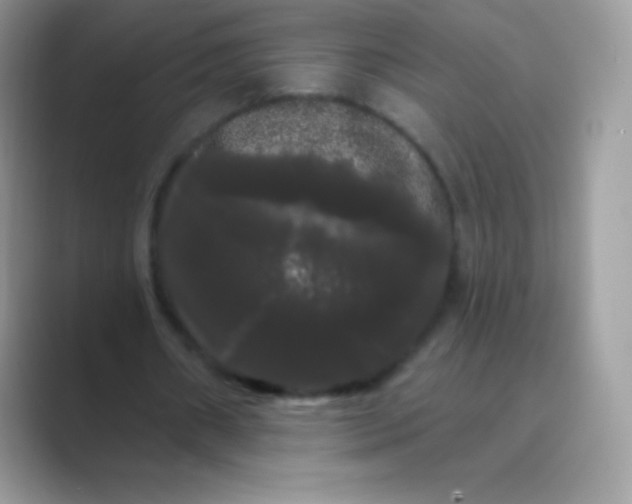 X0000089760482200707051836