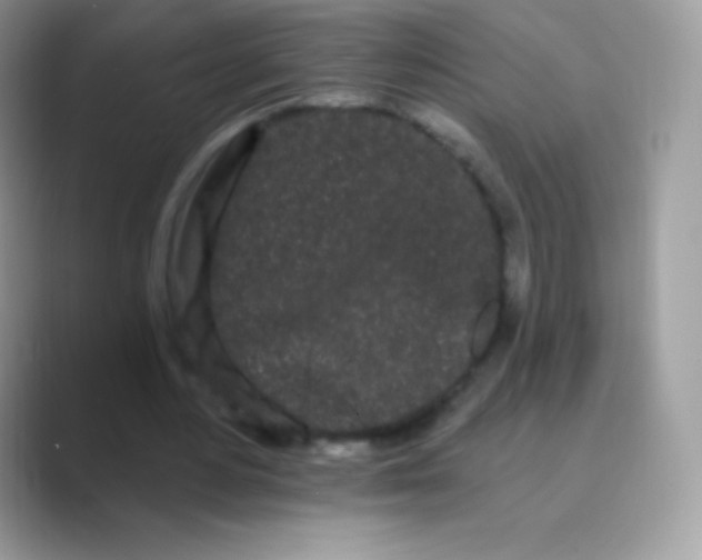 X0000089760484200707051836