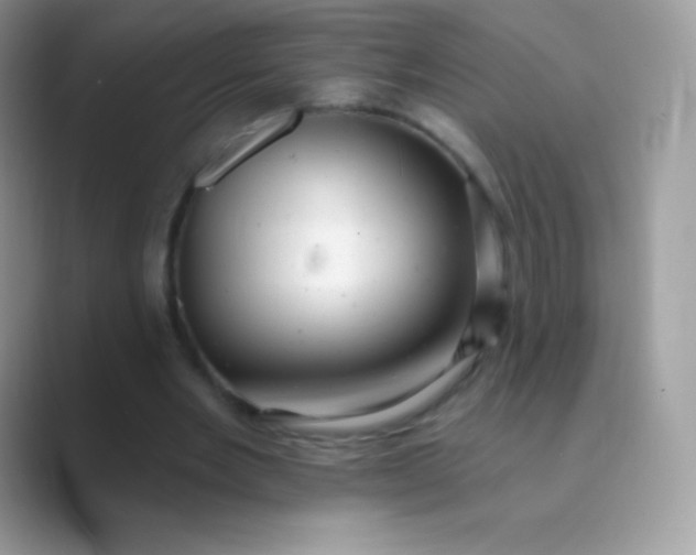 X0000089760485200707051836