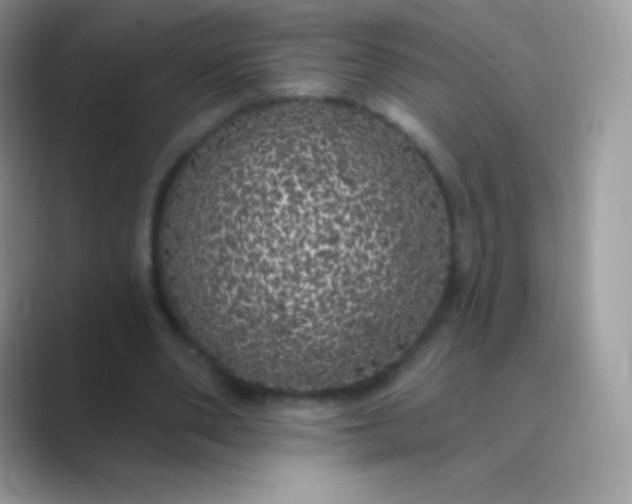 X0000089760486200707051836