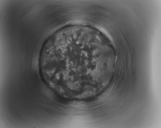 X0000089760487200707051836