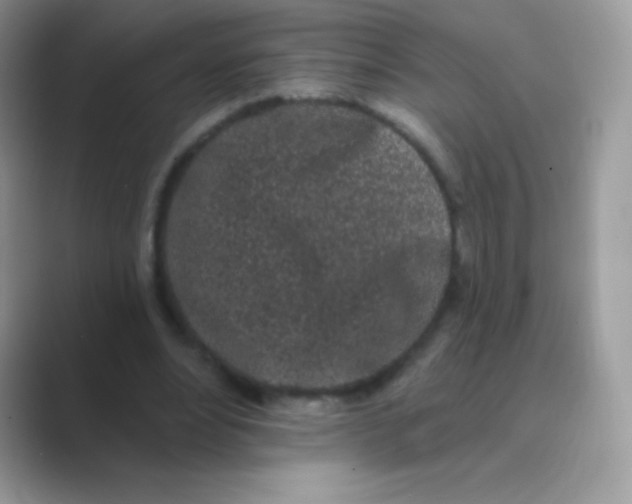 X0000089760488200707051836