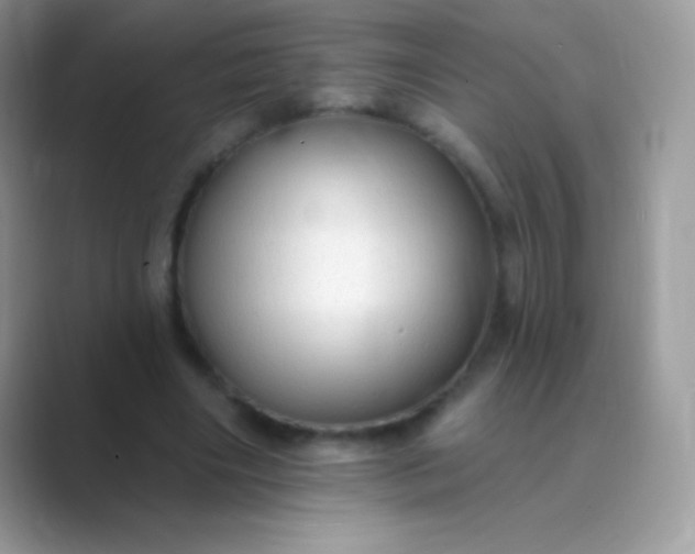 X0000089760490200707051836