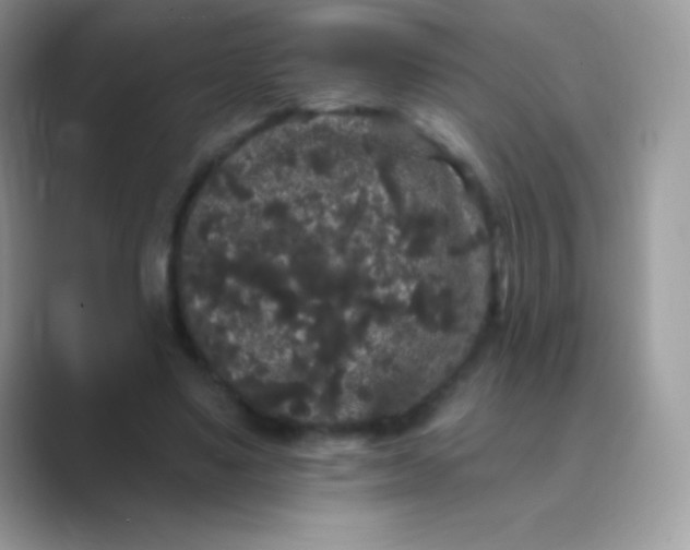 X0000089760491200707051836