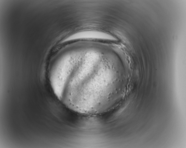 X0000089760492200707051836