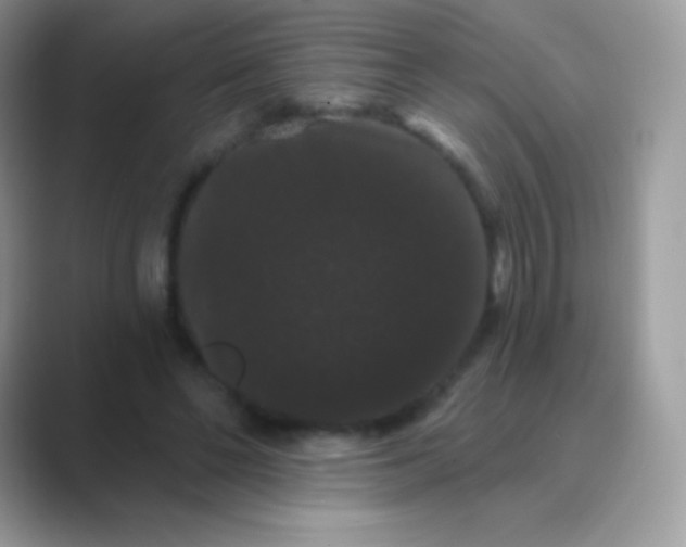 X0000089760494200707051836