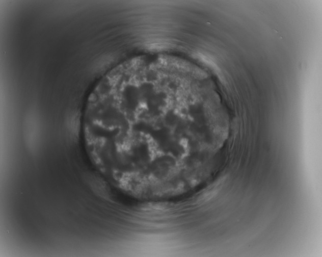 X0000089760495200707051836