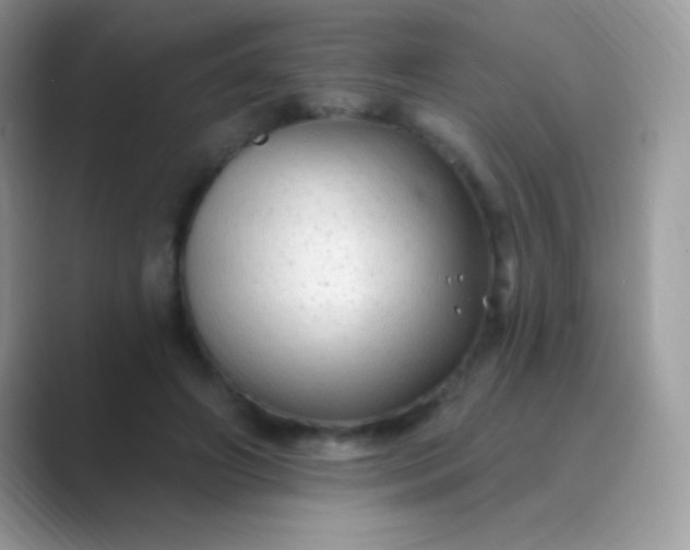 X0000089760498200707051836