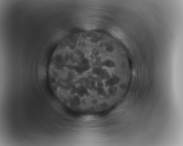 X0000089760499200707051836