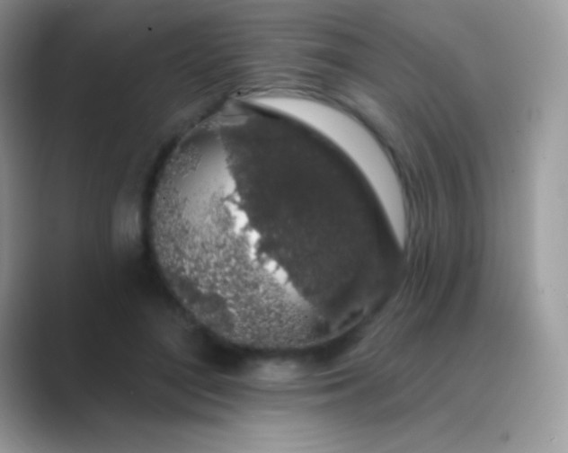 X0000089760500200707051836