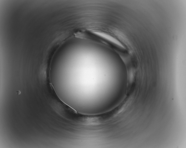 X0000089760501200707051836