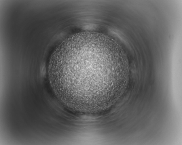 X0000089760502200707051836