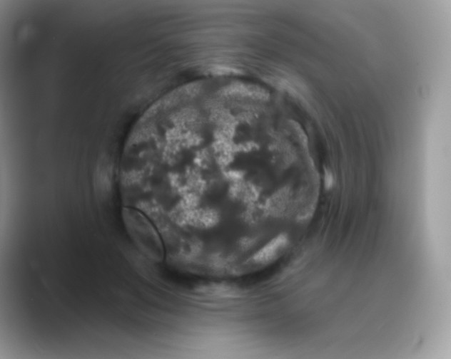 X0000089760503200707051836