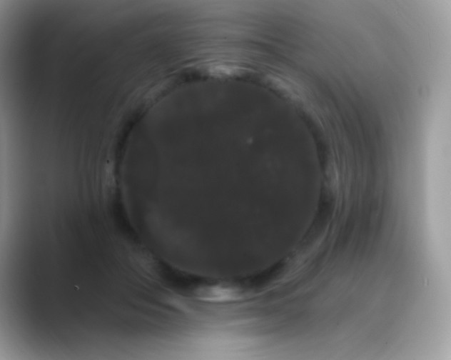 X0000089760506200707051836