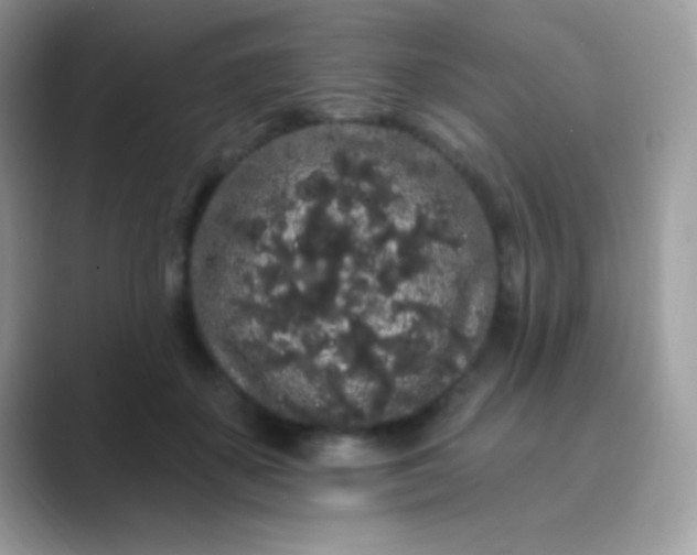 X0000089760507200707051835