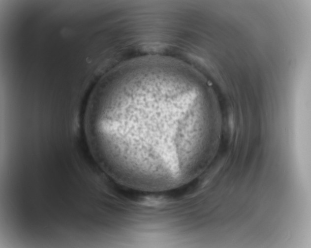 X0000089760508200707051835