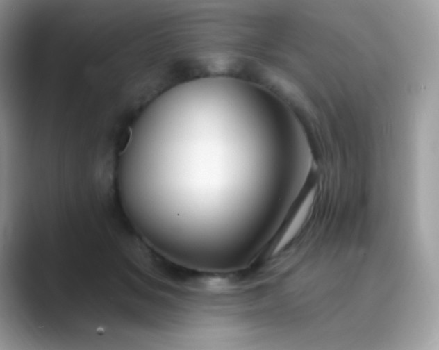 X0000089760509200707051835