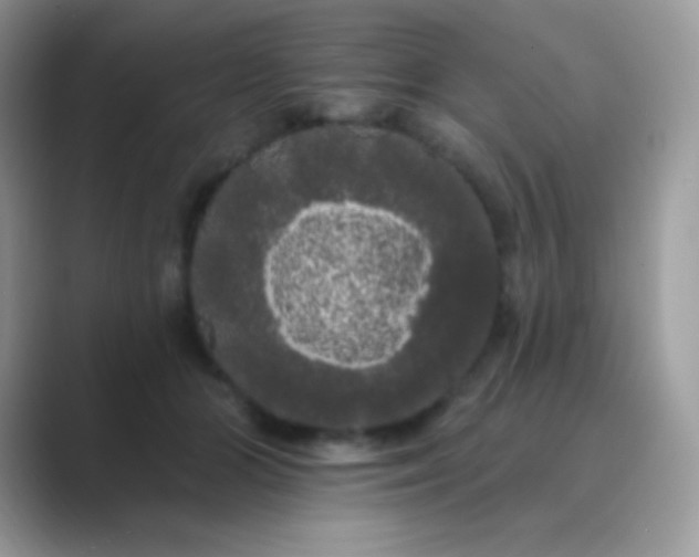 X0000089760510200707051835