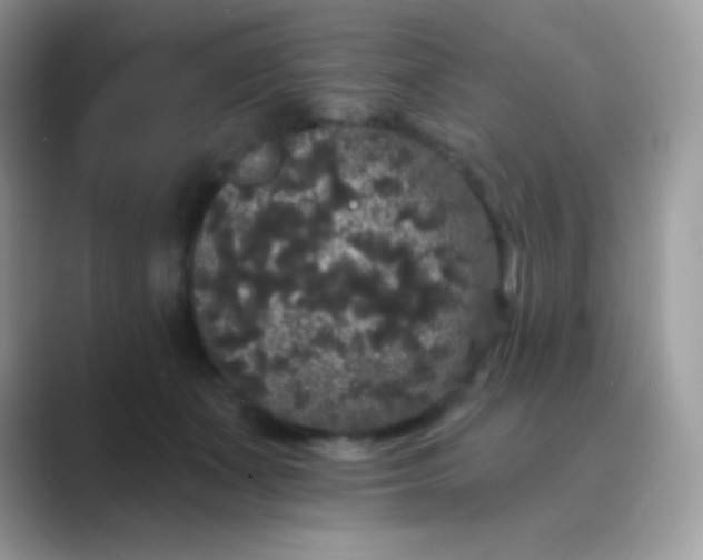 X0000089760511200707051835