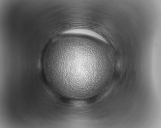 X0000089760512200707051835