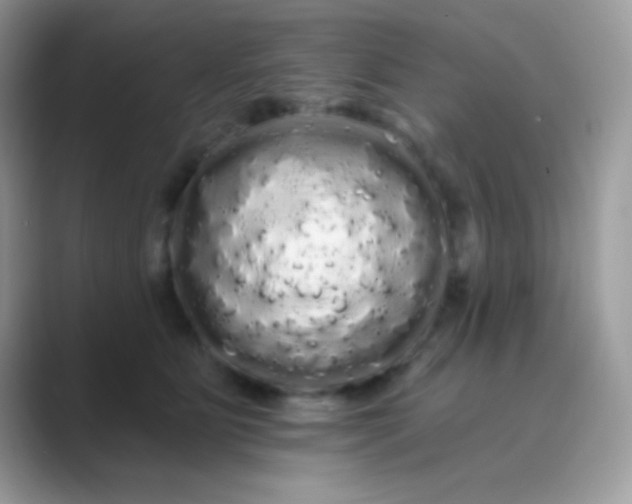 X0000089760515200707051835