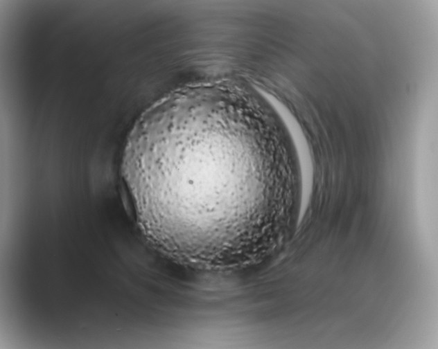 X0000089760516200707051835