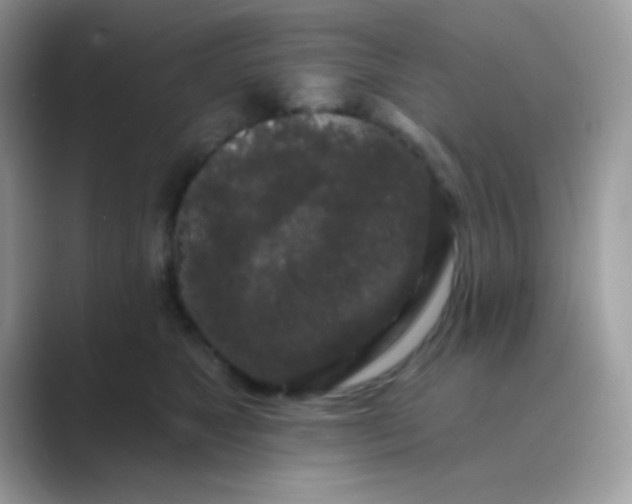 X0000089760517200707051835