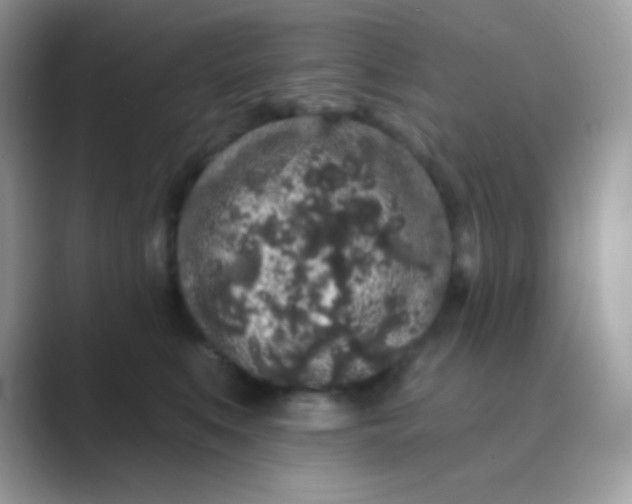 X0000089760519200707051835