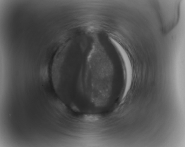 X0000089760520200707051835