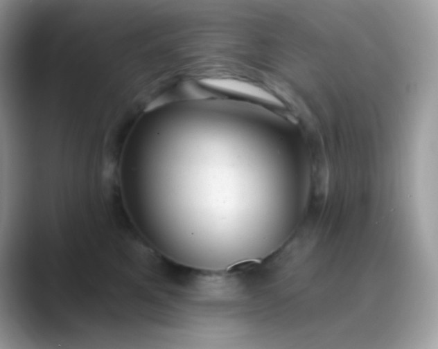 X0000089760521200707051835