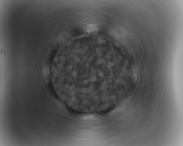 X0000089760523200707051835