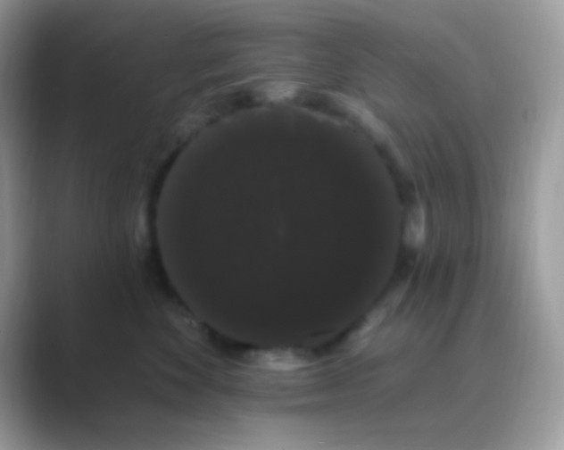 X0000089760524200707051835