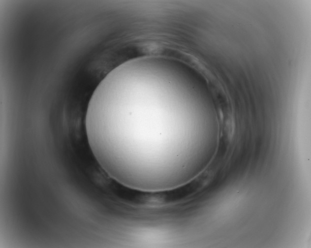 X0000089760525200707051835