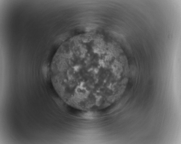 X0000089760527200707051835