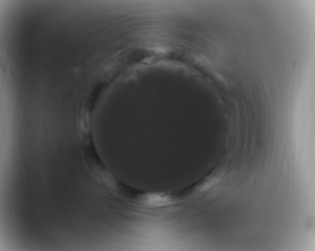 X0000089760528200707051835