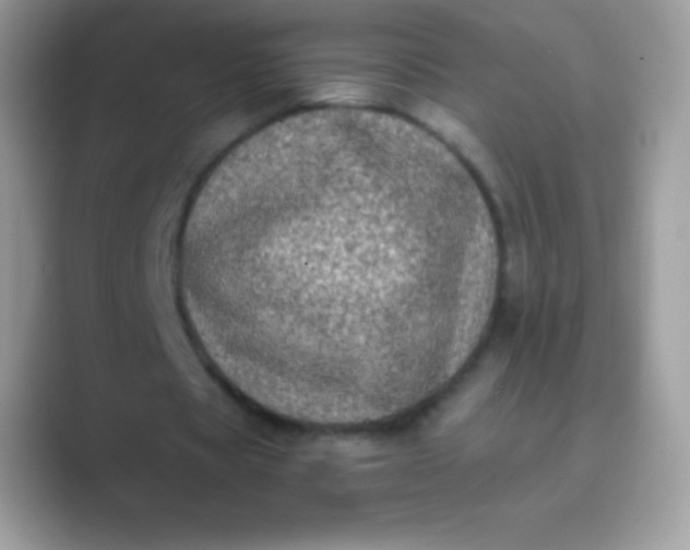 X0000089760529200707051835