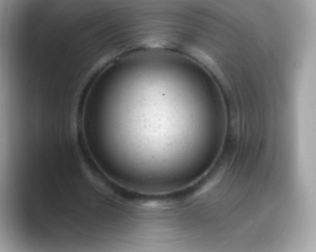 X0000089760530200707051835