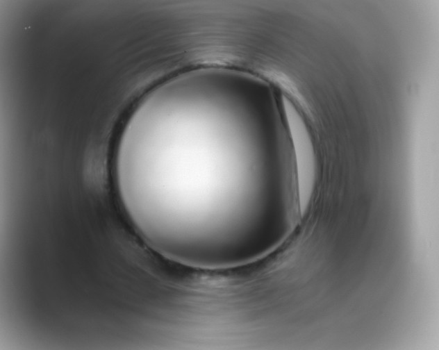 X0000089760531200707051835