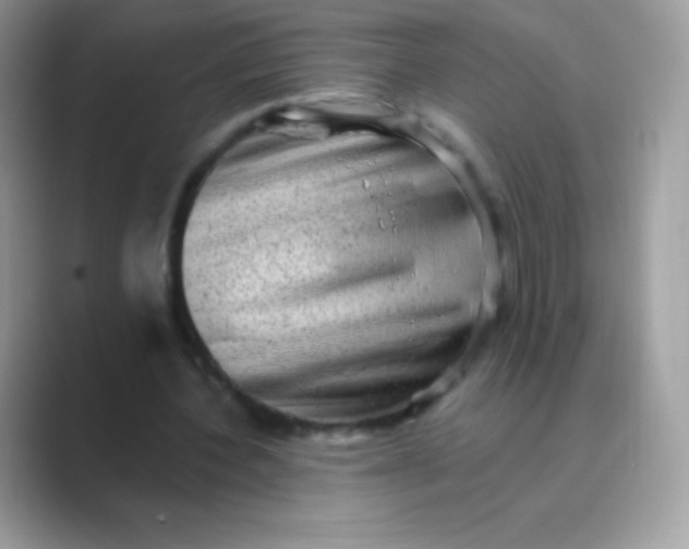 X0000089760532200707051835