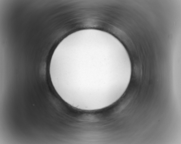 X0000089760534200707051835